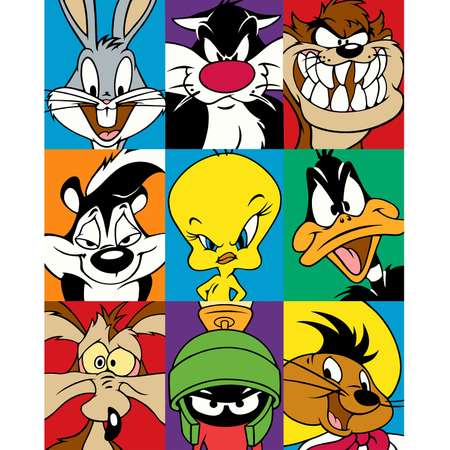 Картина по номерам Art on Canvas Мультики Warner Brothers в ассортименте