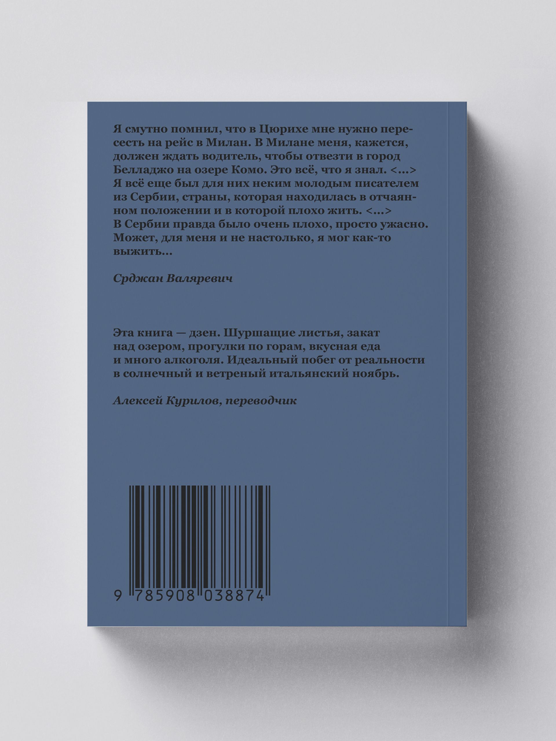 Книга Ad Marginem Комо - фото 14