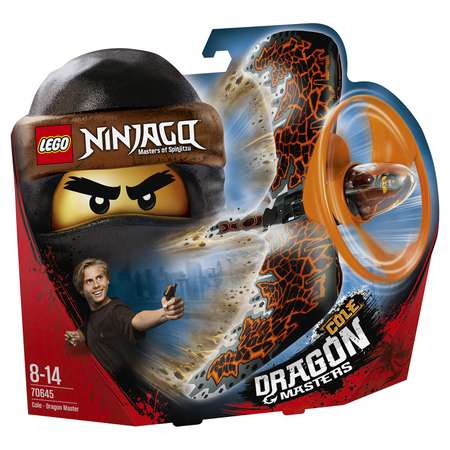 Конструктор LEGO NINJAGO блочный