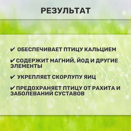 Кормовая добавка Ваше Хозяйство для кур и другой домашней птицы Ракушка 1кг