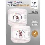 Пряжа для вязания Astra Premium плюшевая пушистый ворс полиэстер 100 гр 80 м 001 белый 2 мотка