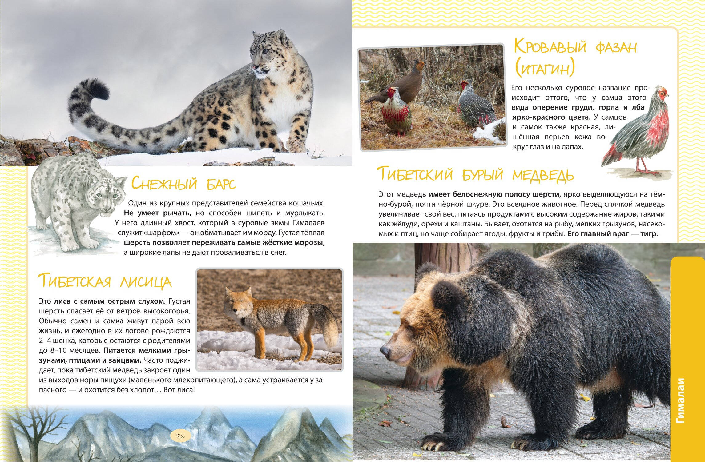 Книга Эксмо Животные Большая экспедиция вокруг света - фото 7