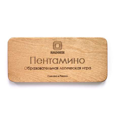 Настольная игра RADGER Головоломка