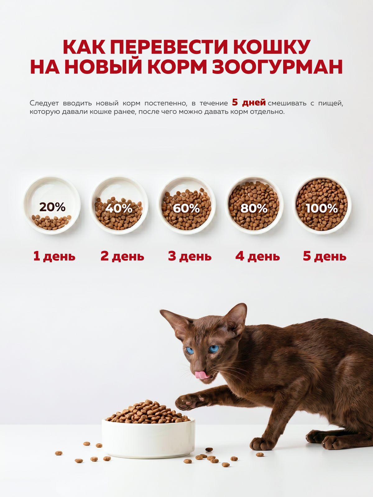 Полнорационный сухой корм для взрослых стерилизованных кошек всех пород ZOOGURMAN RED Индейка с тыквой 1,5 кг - фото 6