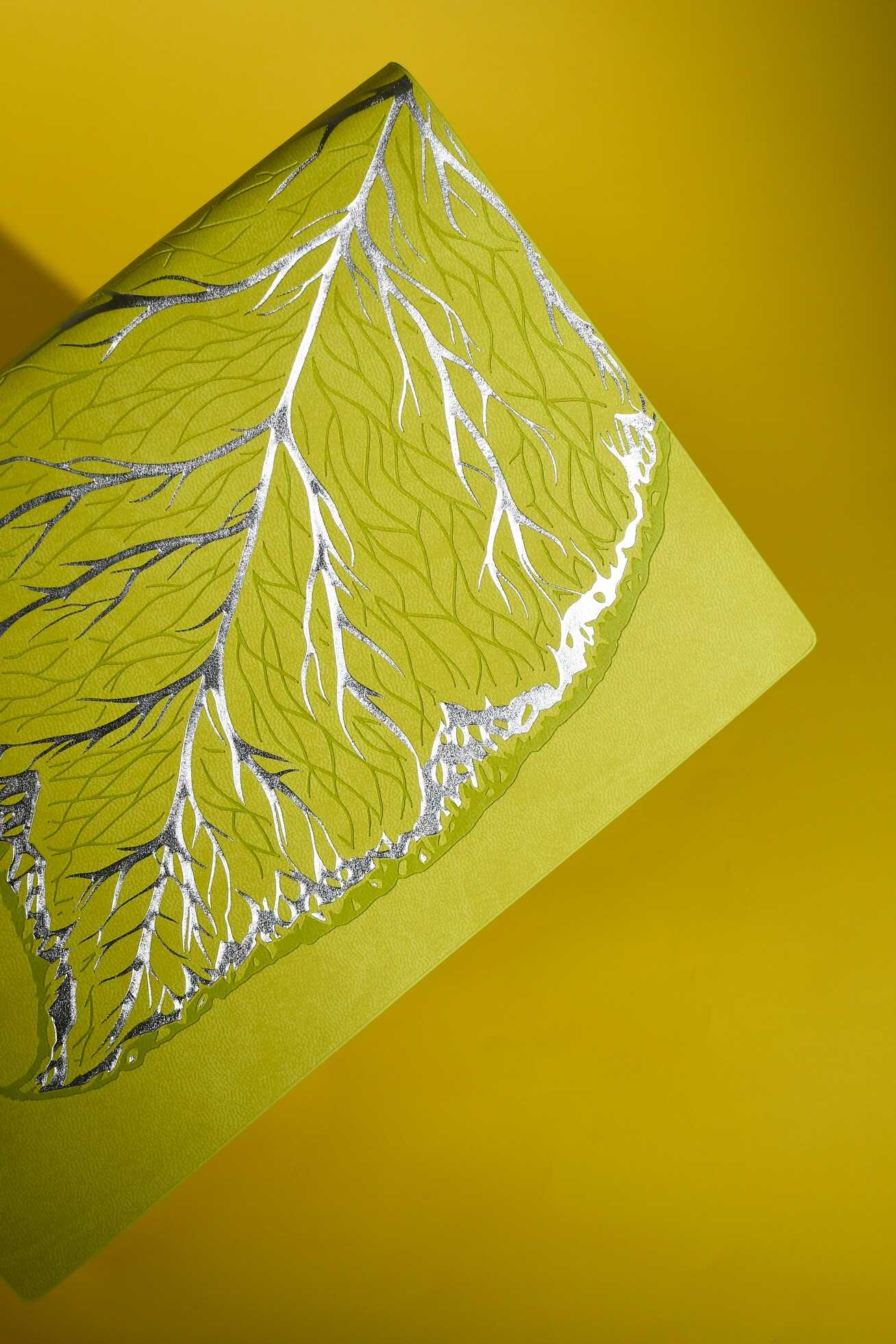 Ежедневник Феникс + ESCALADA 120 лист. - фото 4