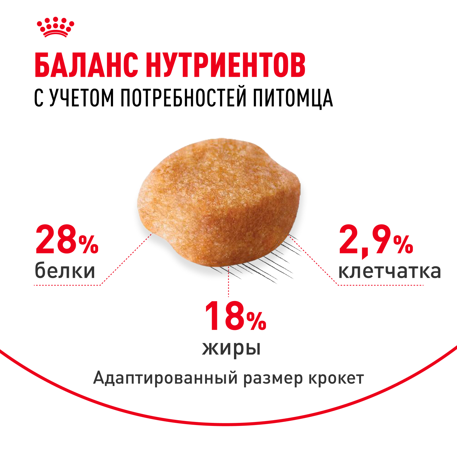 Корм для собак ROYAL CANIN породы йоркширский терьер 3кг - фото 5