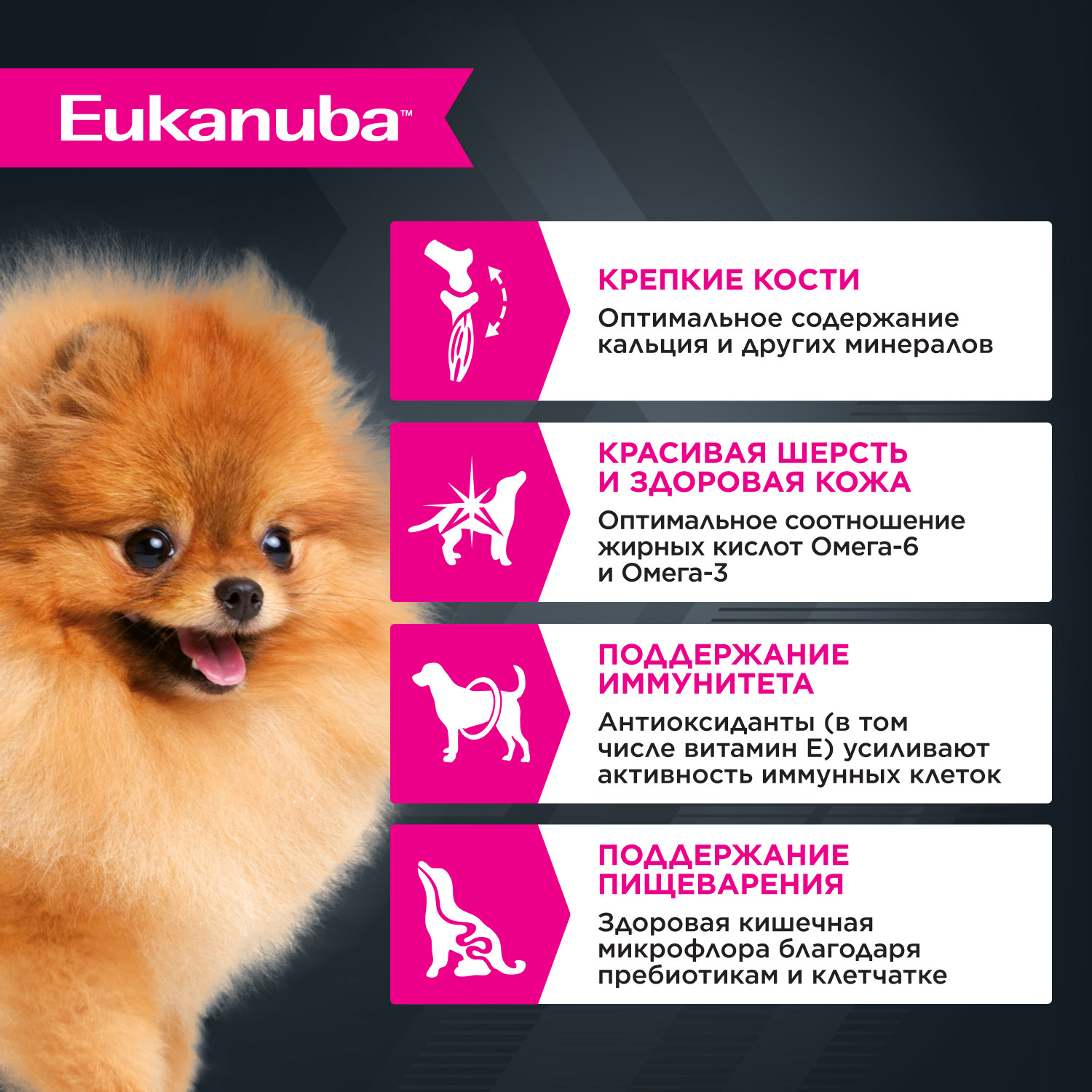 Корм для собак Eukanuba 100г с говядиной в соусе пауч - фото 2