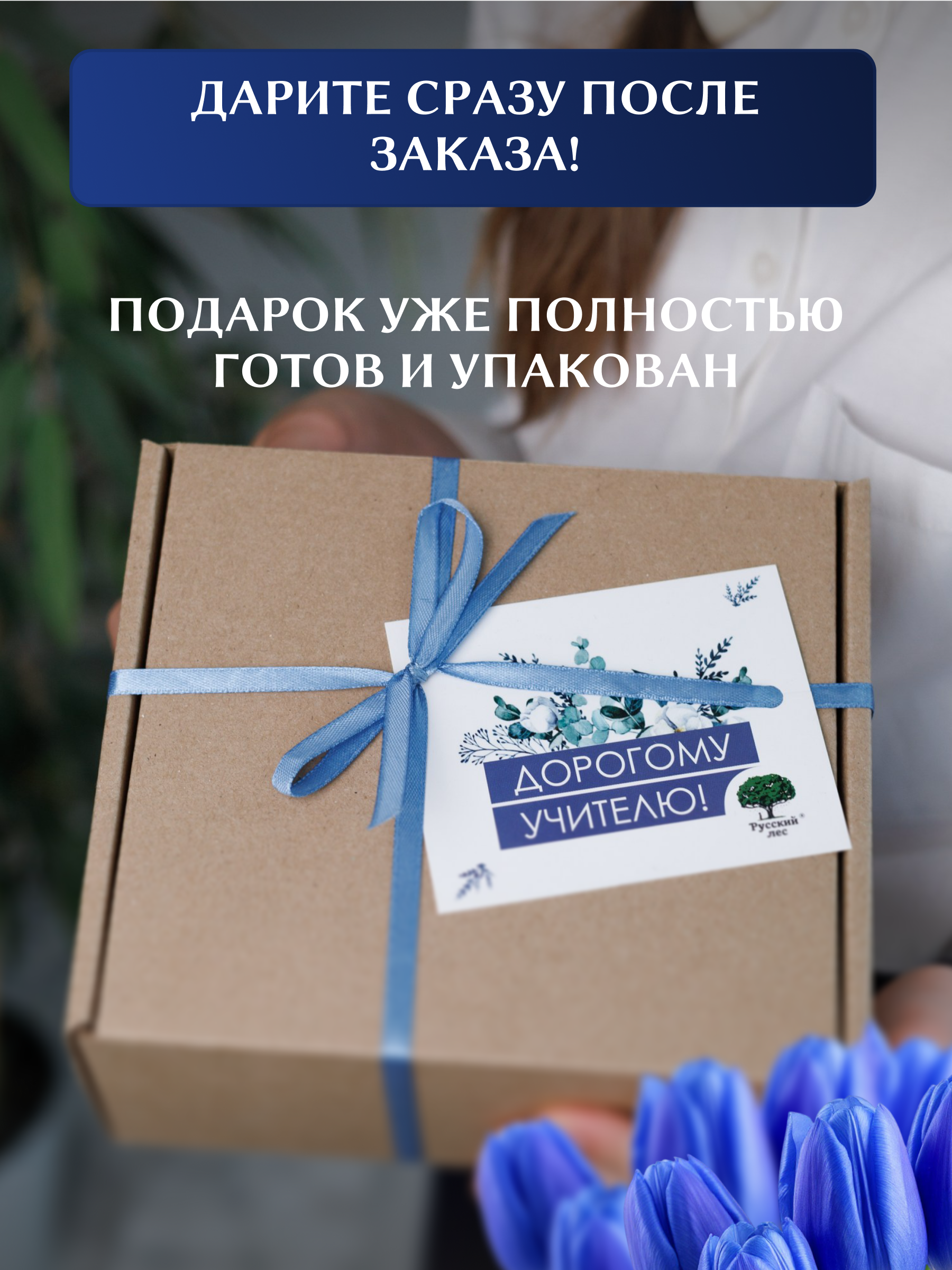 Нбор Дорогому учителю Русский лес М - фото 11