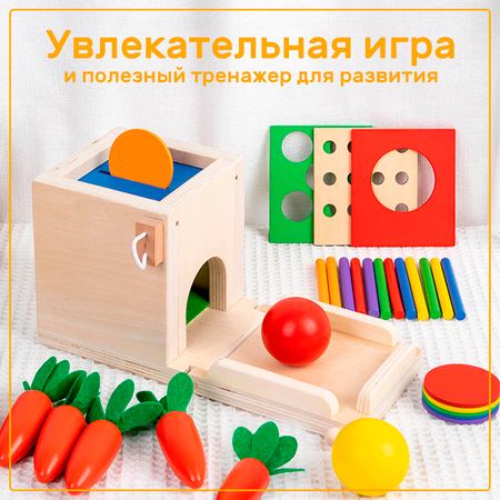 Игрушка LUCHINA toys сортер