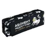 Пенал Феникс + кот