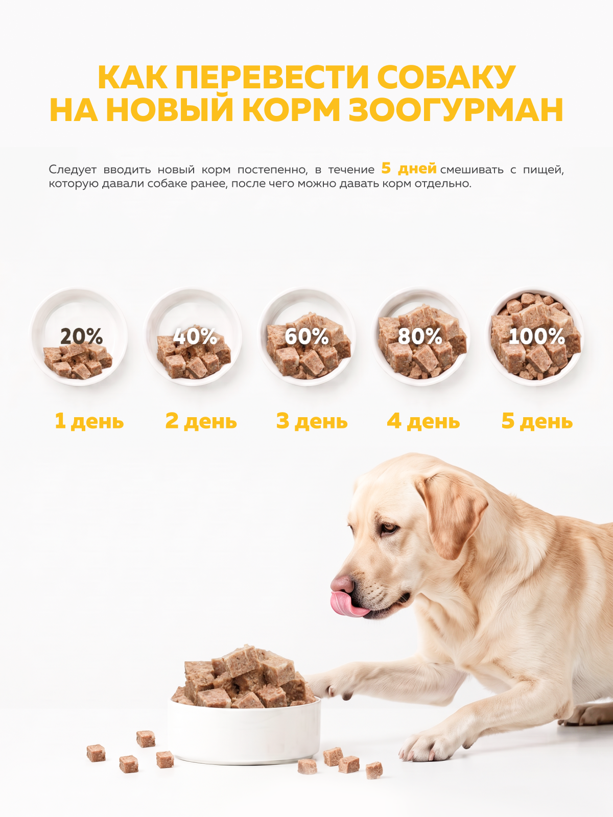 Корм влажный Зоогурман для собак Big Dog говядина с бараниной 850г х 6шт - фото 4
