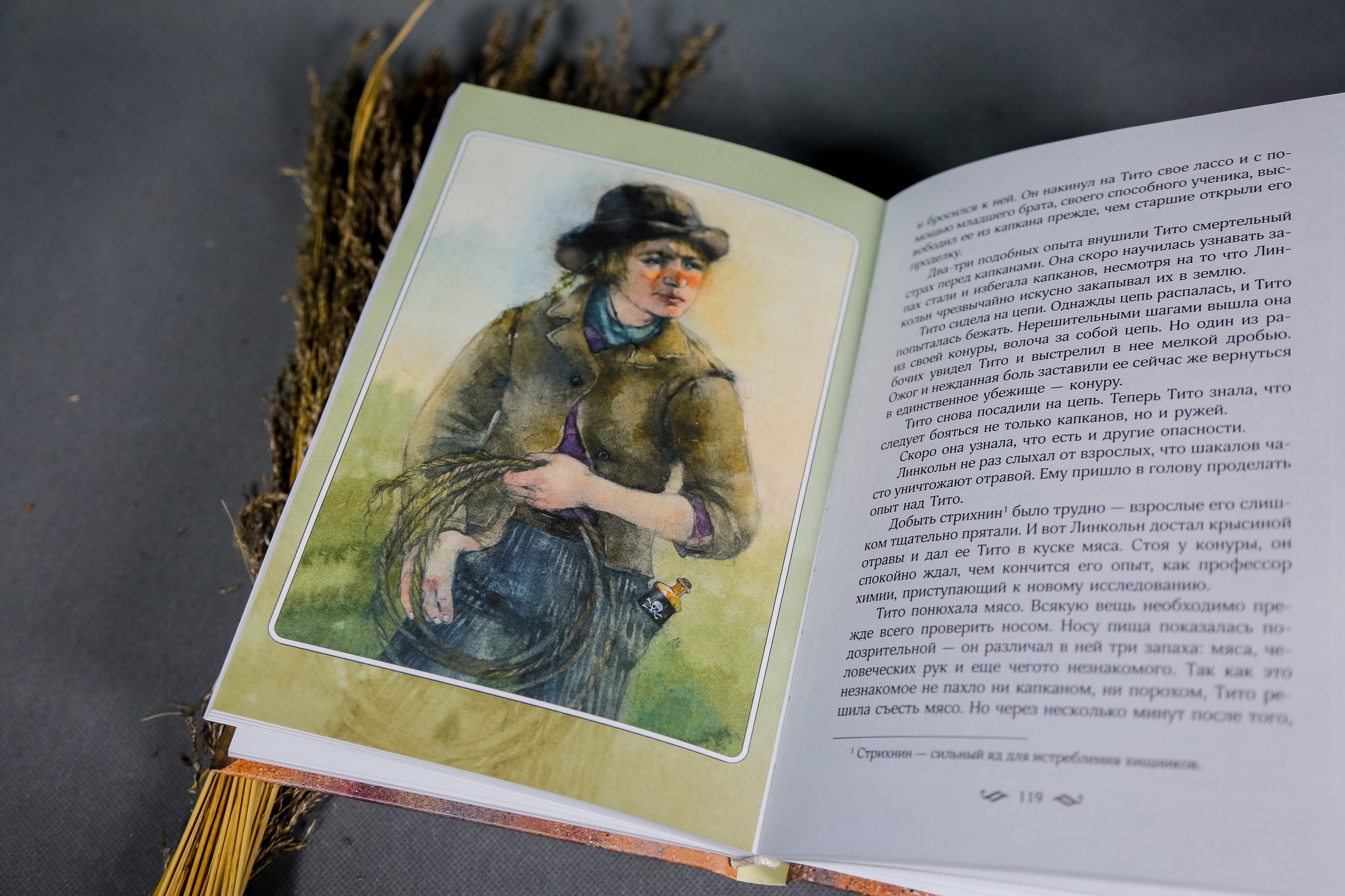 Книга Качели Королевская Аналостанка и другие рассказы - фото 7