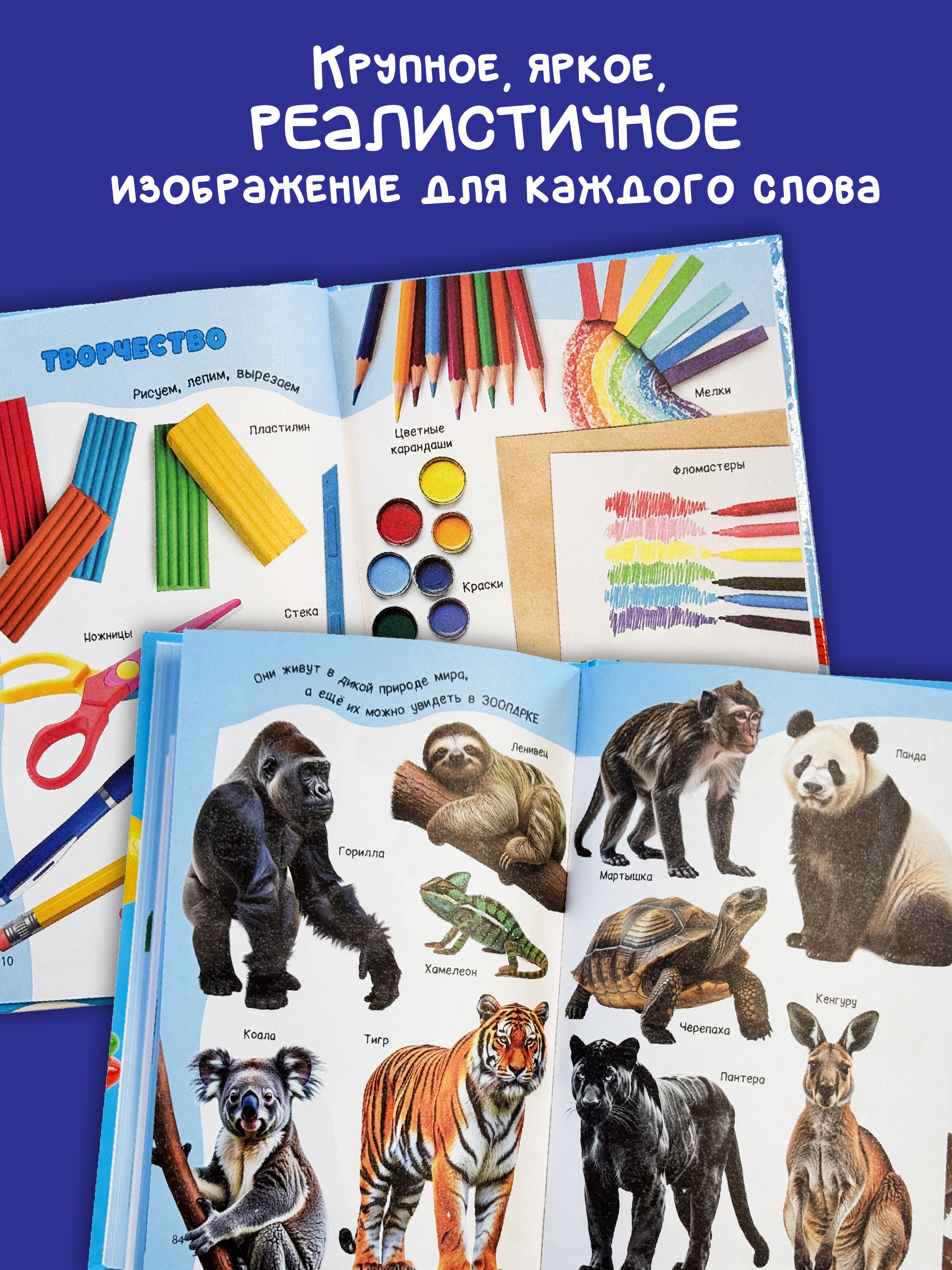 Первая книга малыша БимБиМон Мои первые слова Запуск речи - фото 3