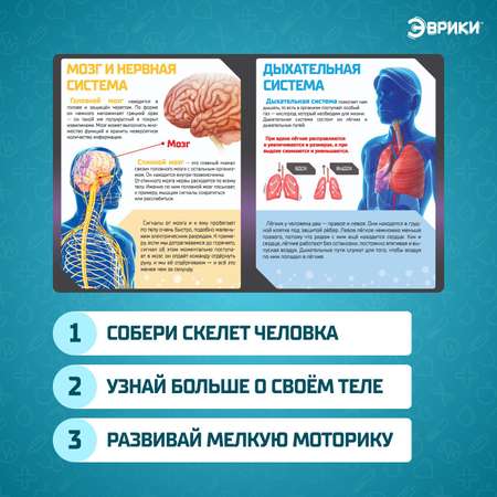 Набор для опытов Эврики
