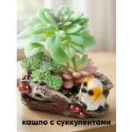 Искусственные цветы SOFANNA суккуленты в горшке собака1-2