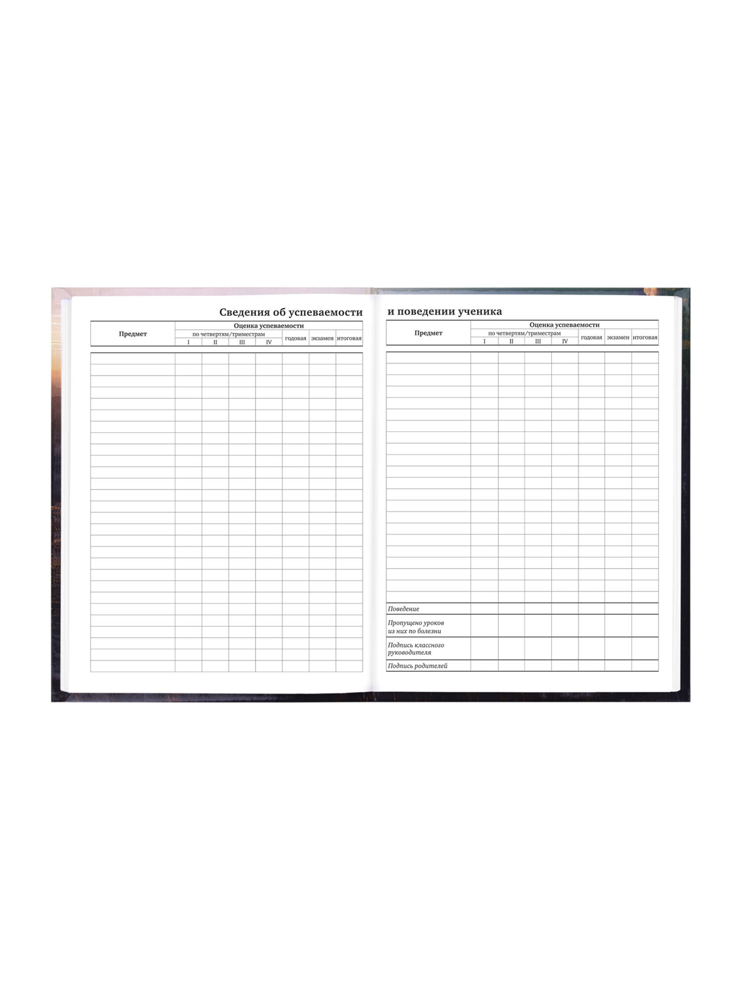 Дневник школьный Brauberg для мальчика 1-11 класс твердая обложка 40 листов - фото 10