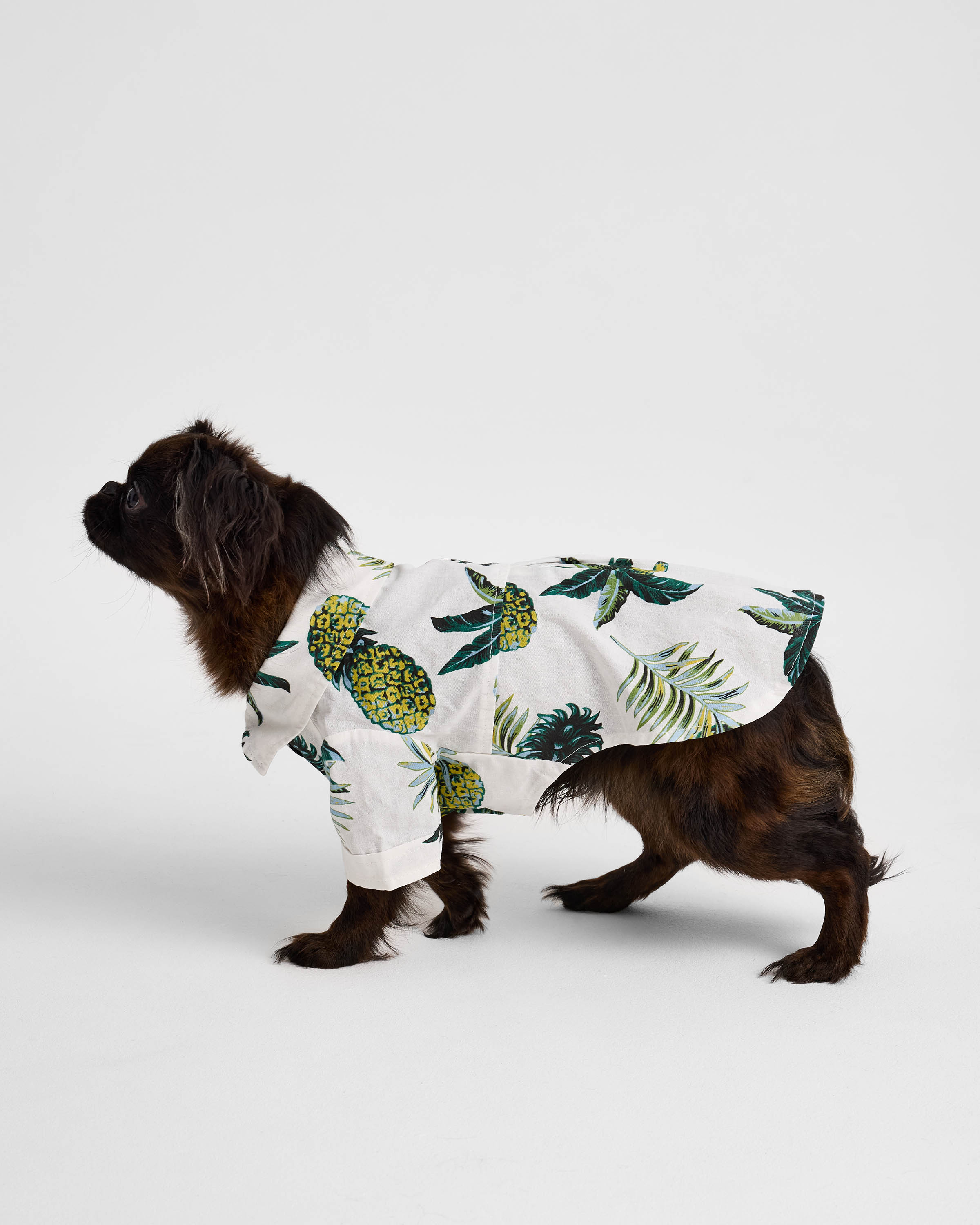 Рубашка для собак и кошек Зоозавр - фото 3