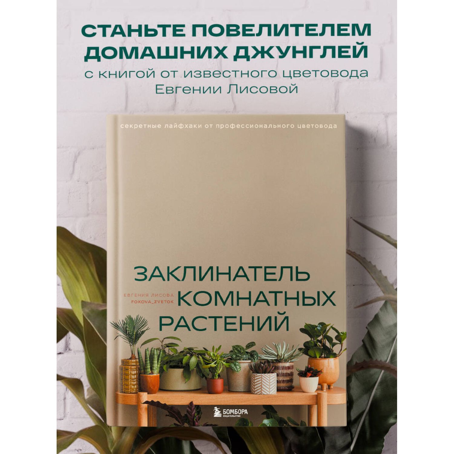 Книга БОМБОРА Заклинатель комнатных растений - фото 1