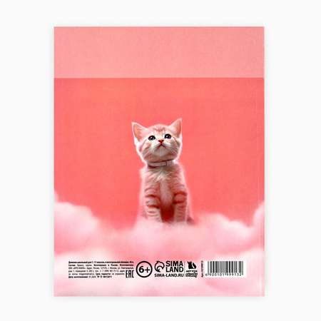 Дневник ArtFox STUDY для 1-11 класса, в интегральной обложке, 40 л. \"Котик на облаке\"