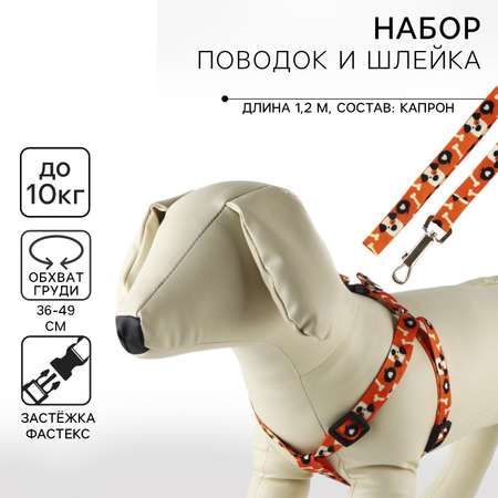 Комплект для собаки Пушистое счастье «Собака» шлейка 36-49см поводок 120см