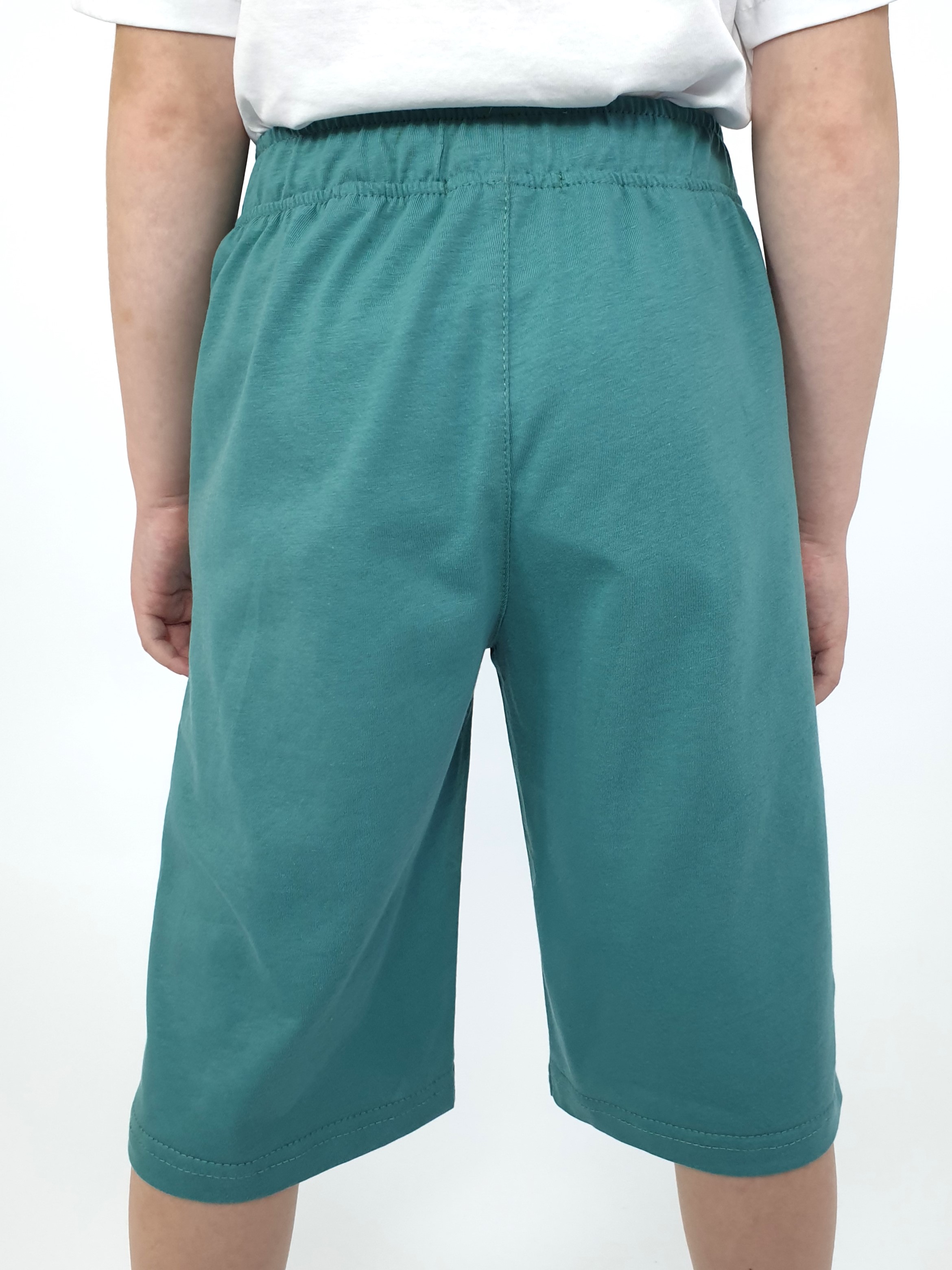 Шорты Luneva 18-25-5. - фото 5