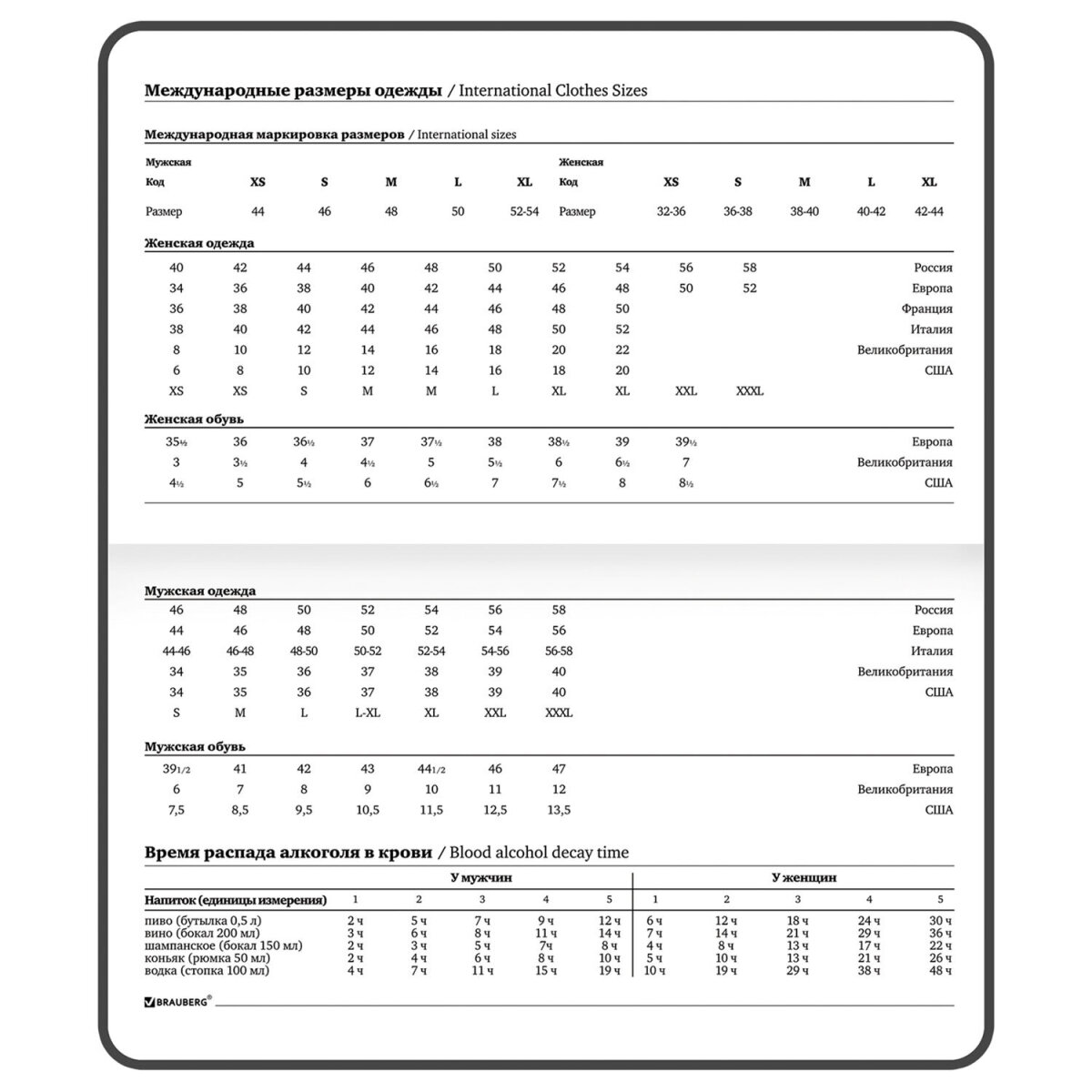 Блокнот Brauberg 64 лист. - фото 13