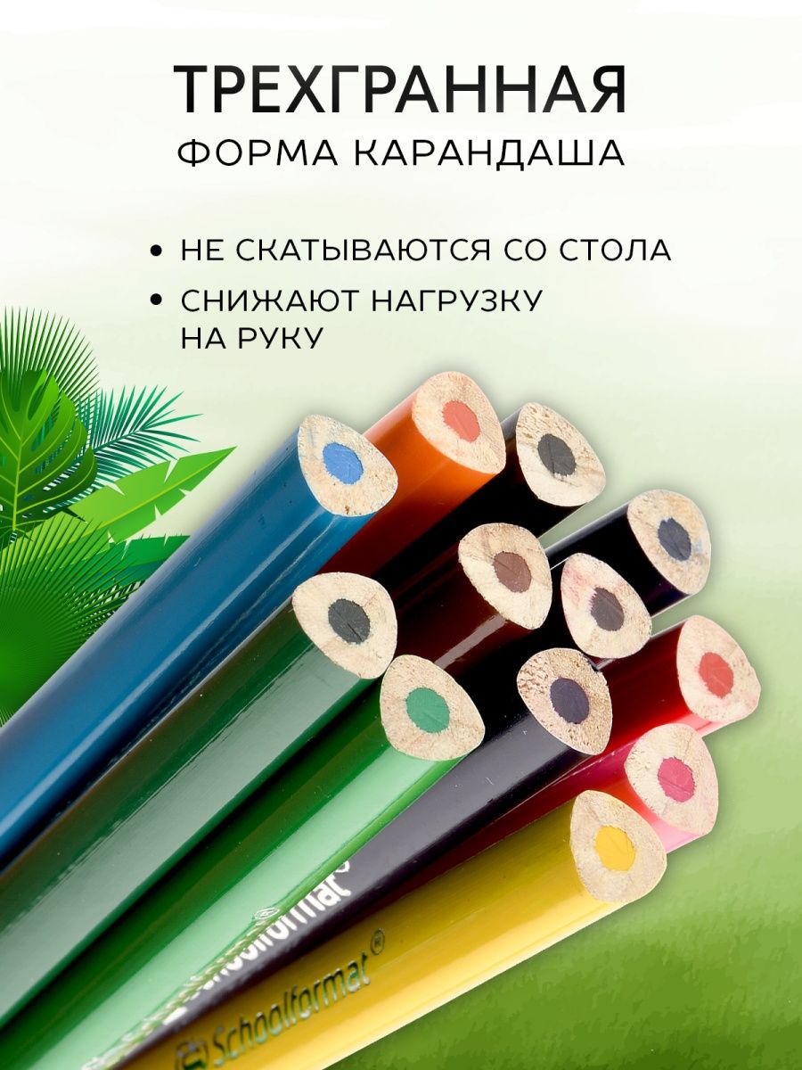 Карандаши цветные SCHOOLFORMAT 20 шт. - фото 5