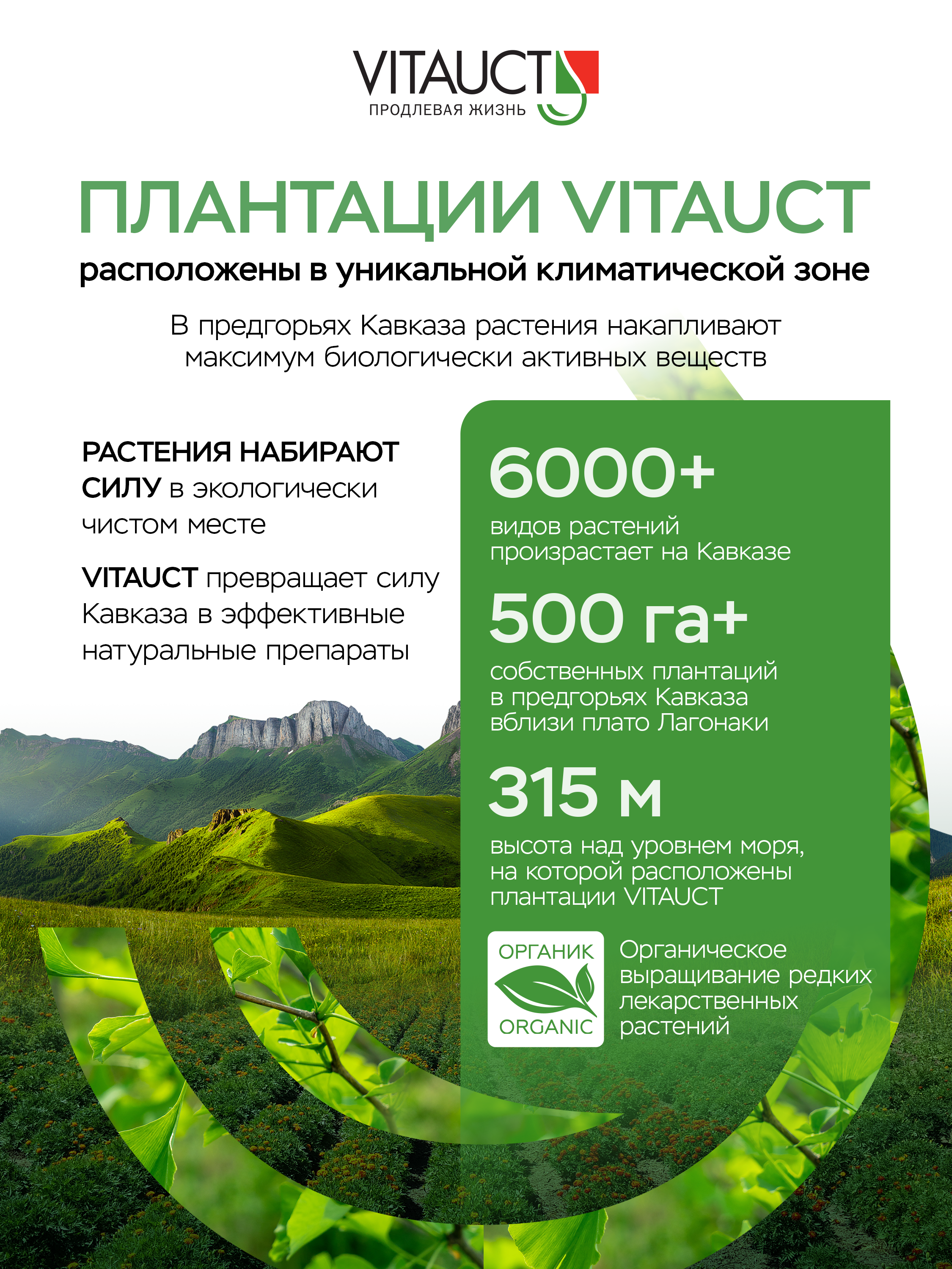 Масло VITAUCT Чёрный тмин масло 100 г - фото 3