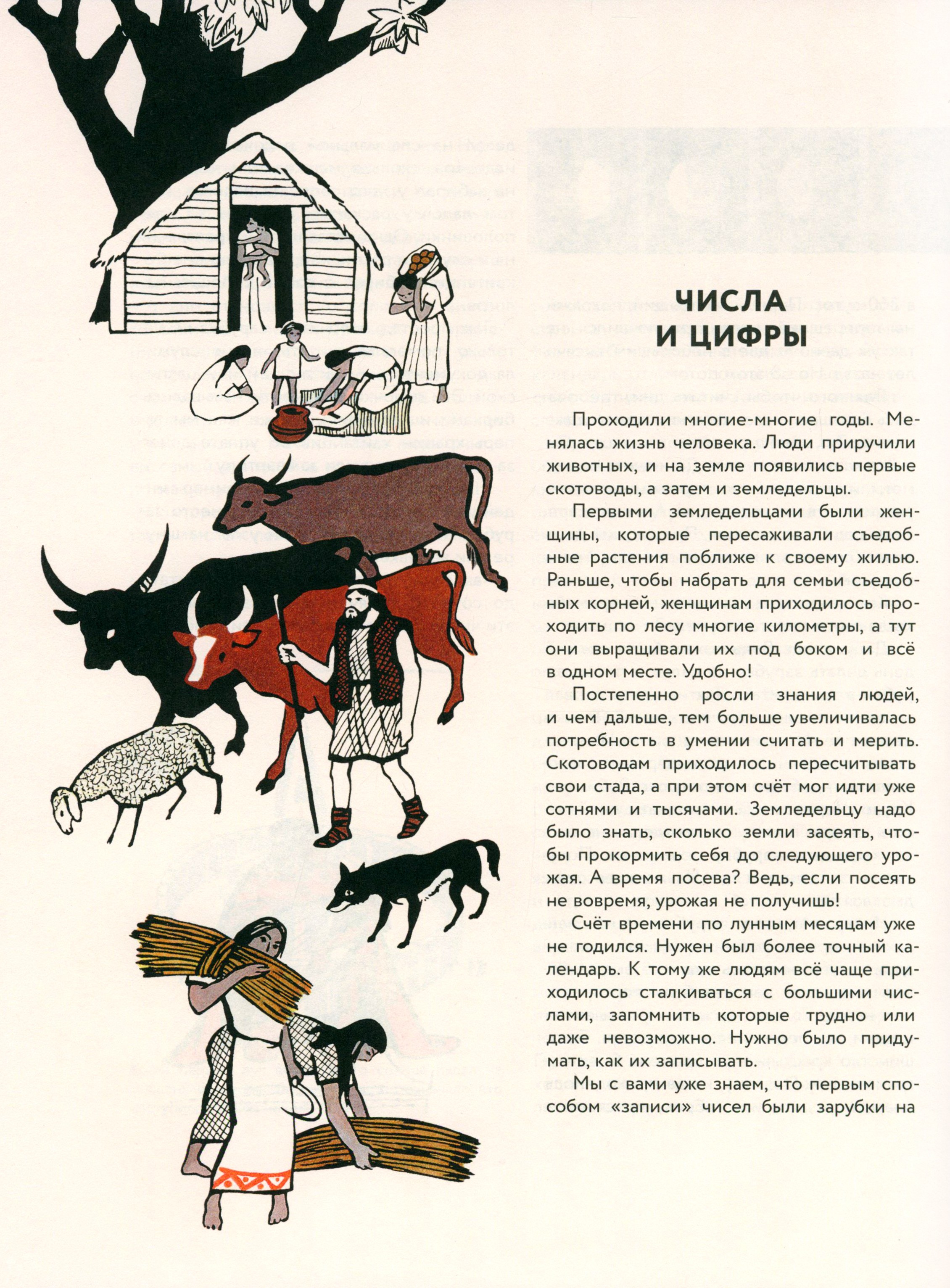 Книга ИД Мещерякова Мир чисел - фото 5