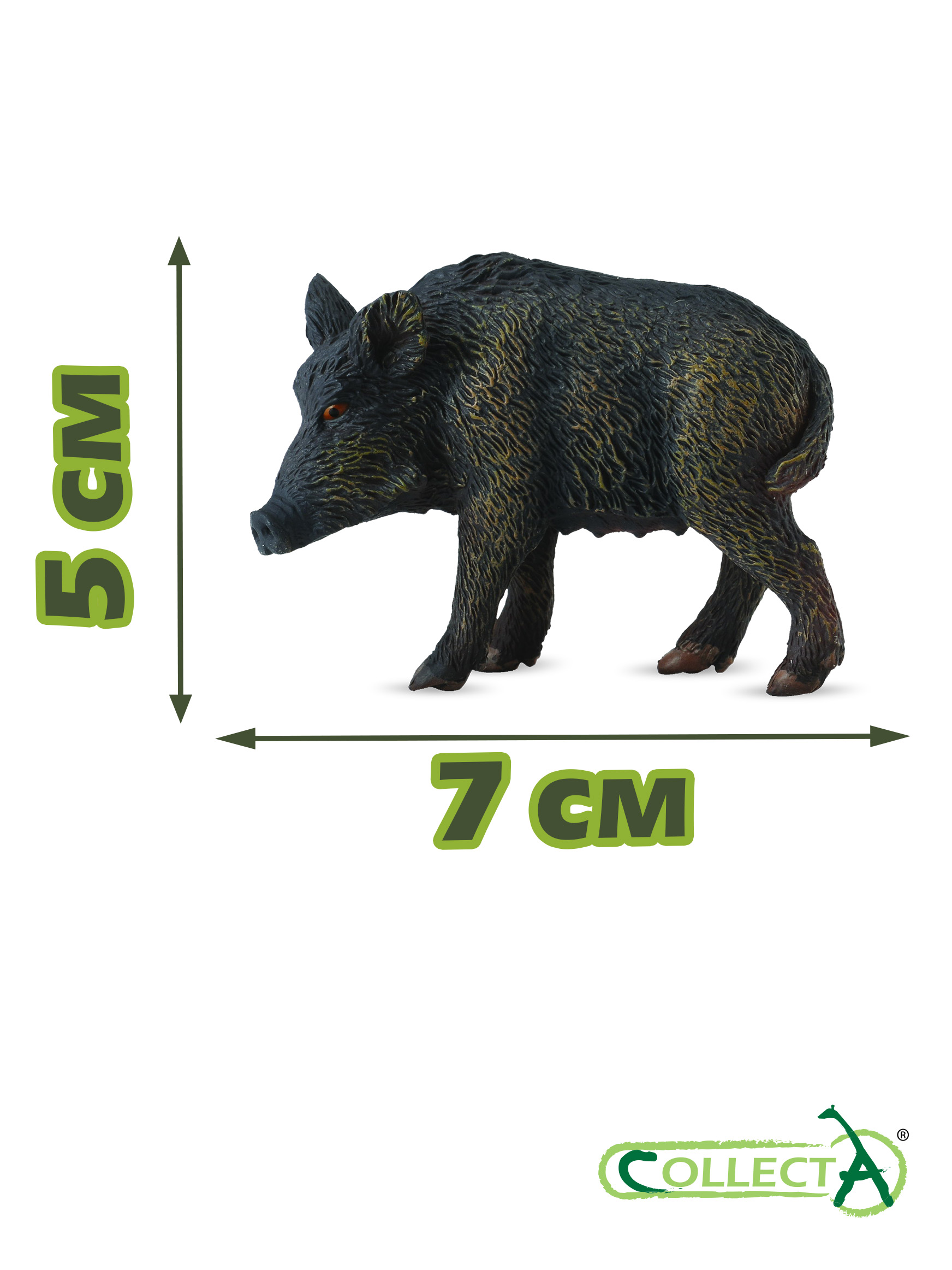 Фигурка Collecta Дикая свинья - фото 2