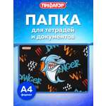 Папка для тетрадей Пифагор А4