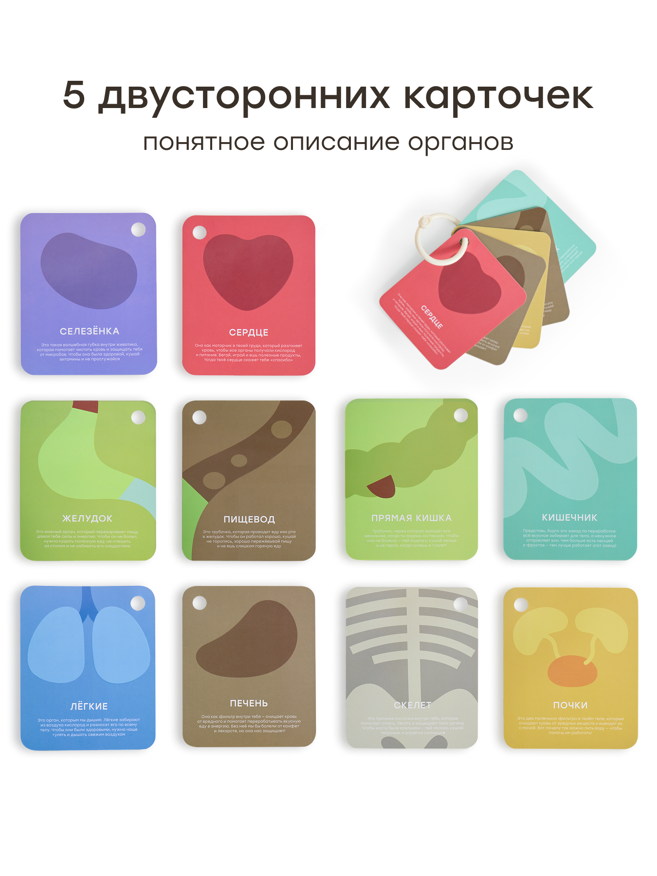 Мягкая игрушка Happy Baby Кукла Funny Anatomy - фото 5