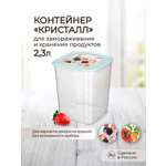 Контейнер Phibo для замораживания и хранения продуктов с декором Кристалл 2.3л светло-голубой