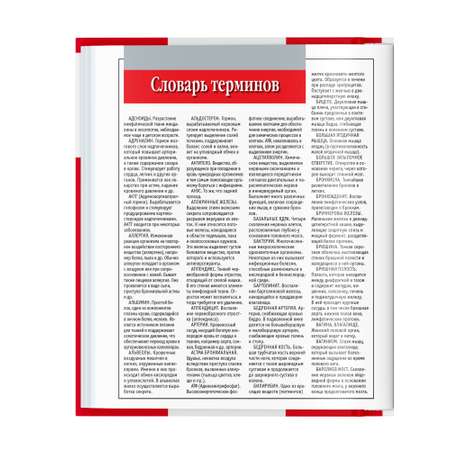 Книга Харвест Книга Атлас анатомии человека Основы строения и физиологии тела