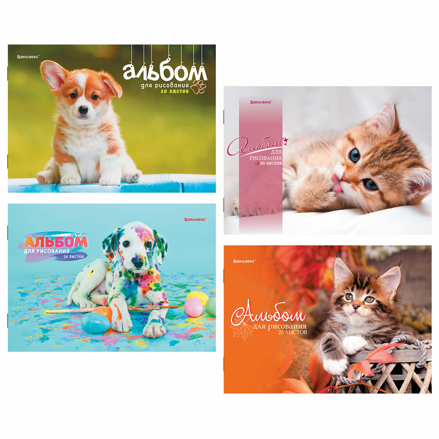 Альбом Brauberg А4 20 лист. 4 шт. - фото 2