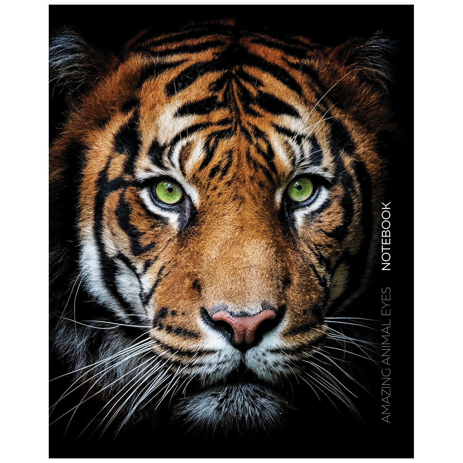 Общая тетрадь Полиграф Принт линейка 80 лист. в ассортименте - фото 3