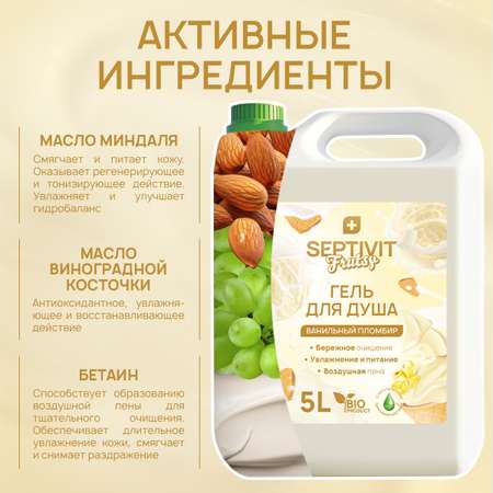 Гель SEPTIVIT Ванильный пломбир 5000 мл