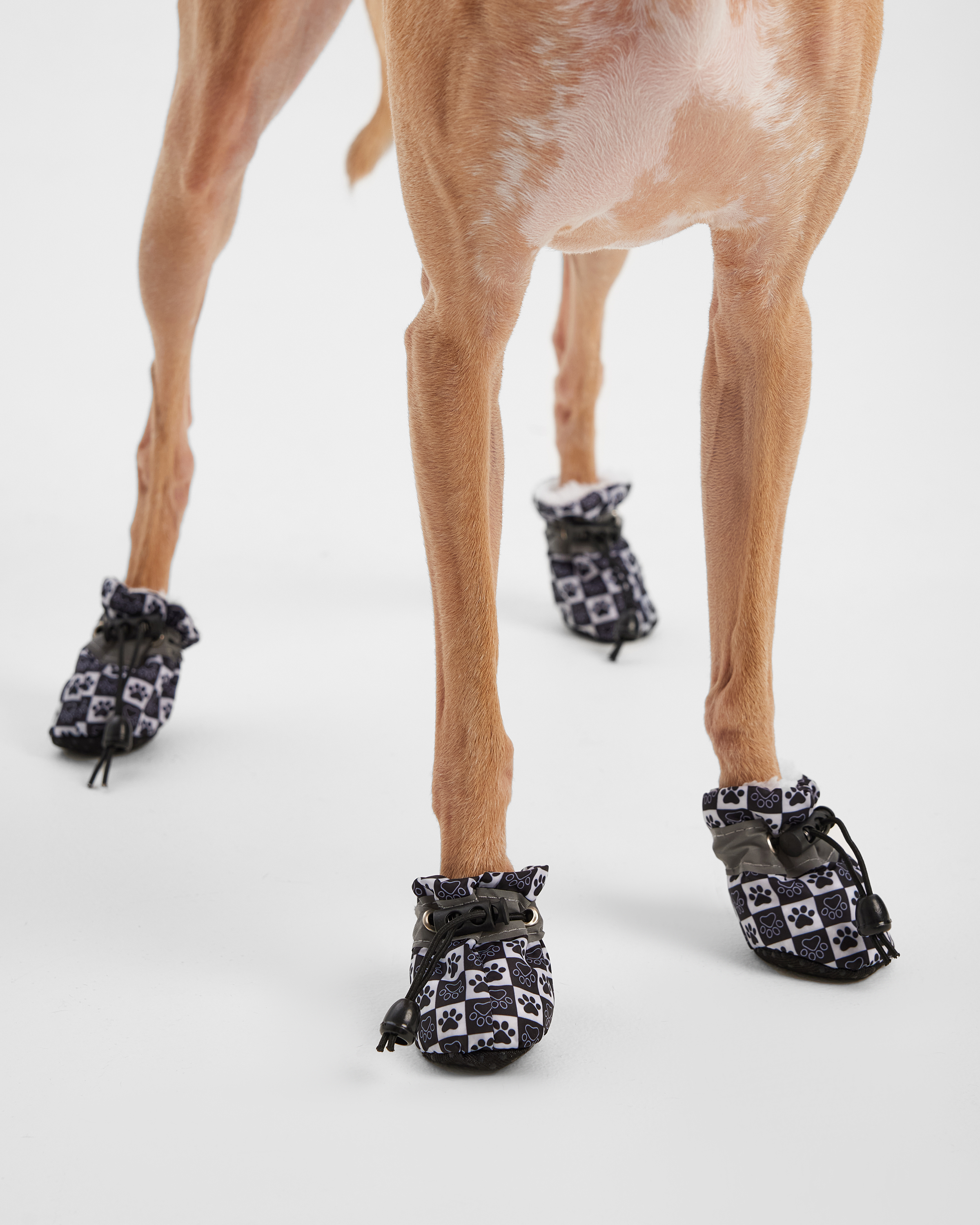 Ботинки для собак Зоозавр 4 шт - фото 6