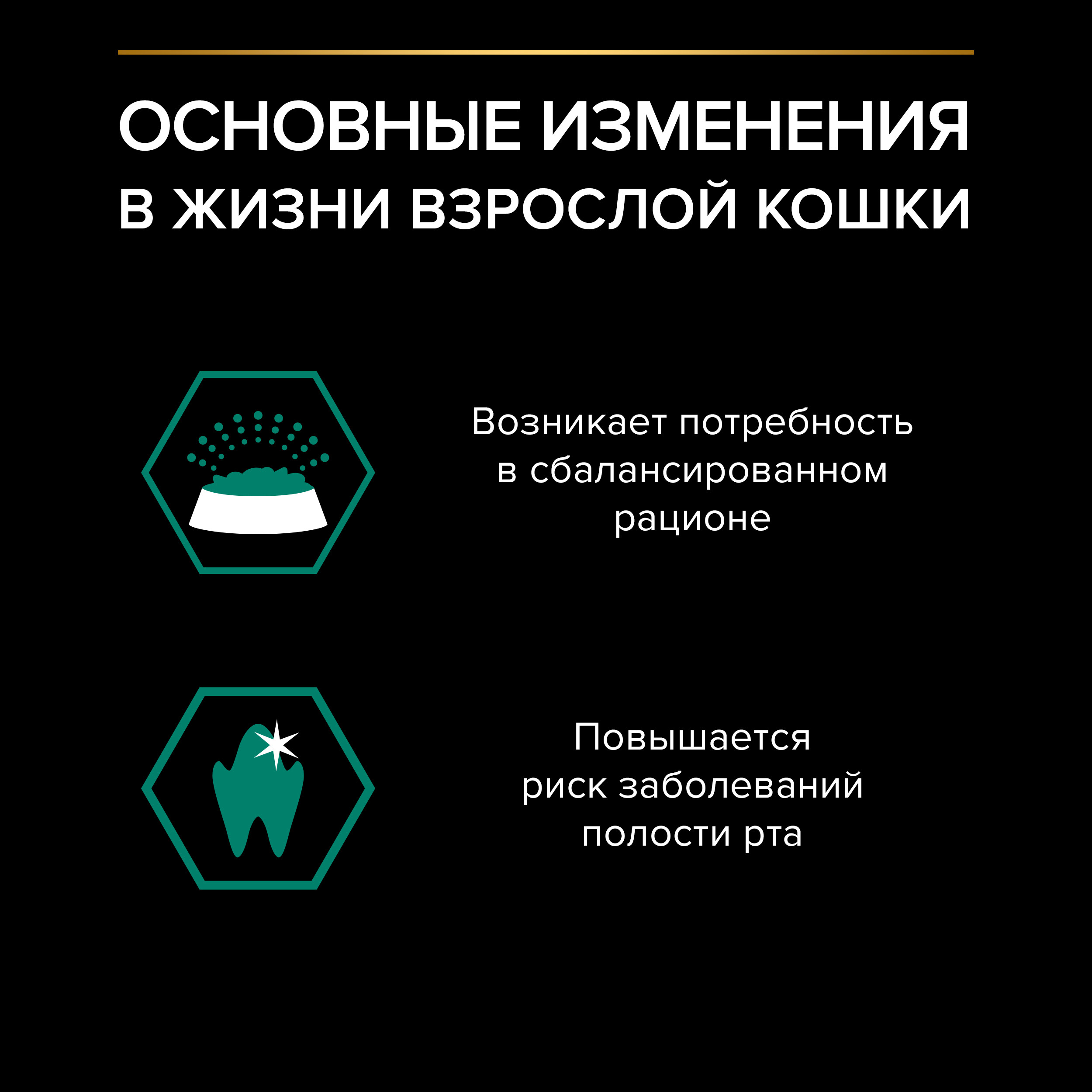 Корм для кошек PRO PLAN 85г говядина в соусе пауч - фото 5