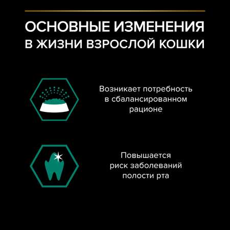 Корм для кошек PRO PLAN 85г говядина в соусе пауч