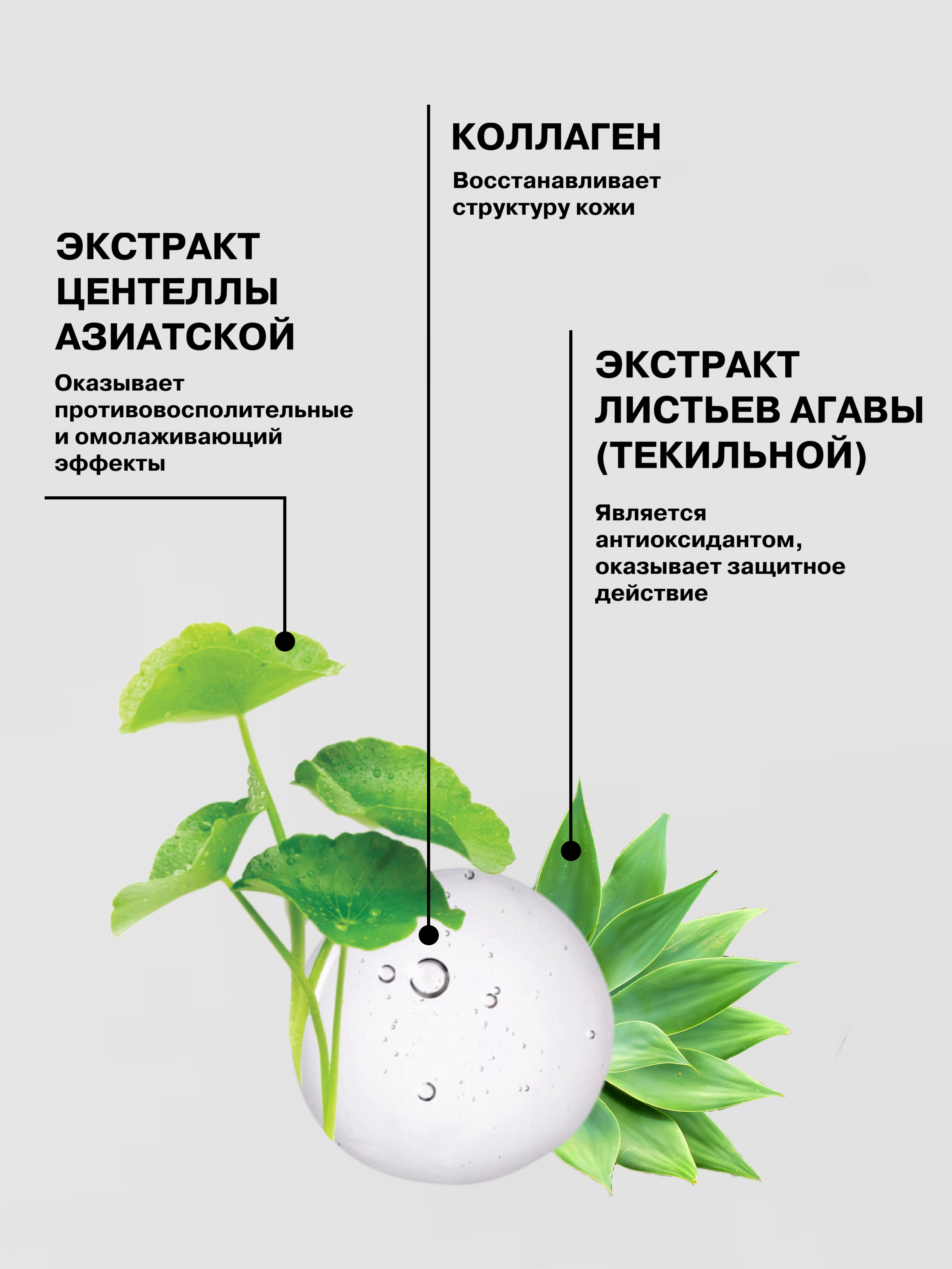 Набор средств ELEMENT Трехуровневый уход для лица - фото 3