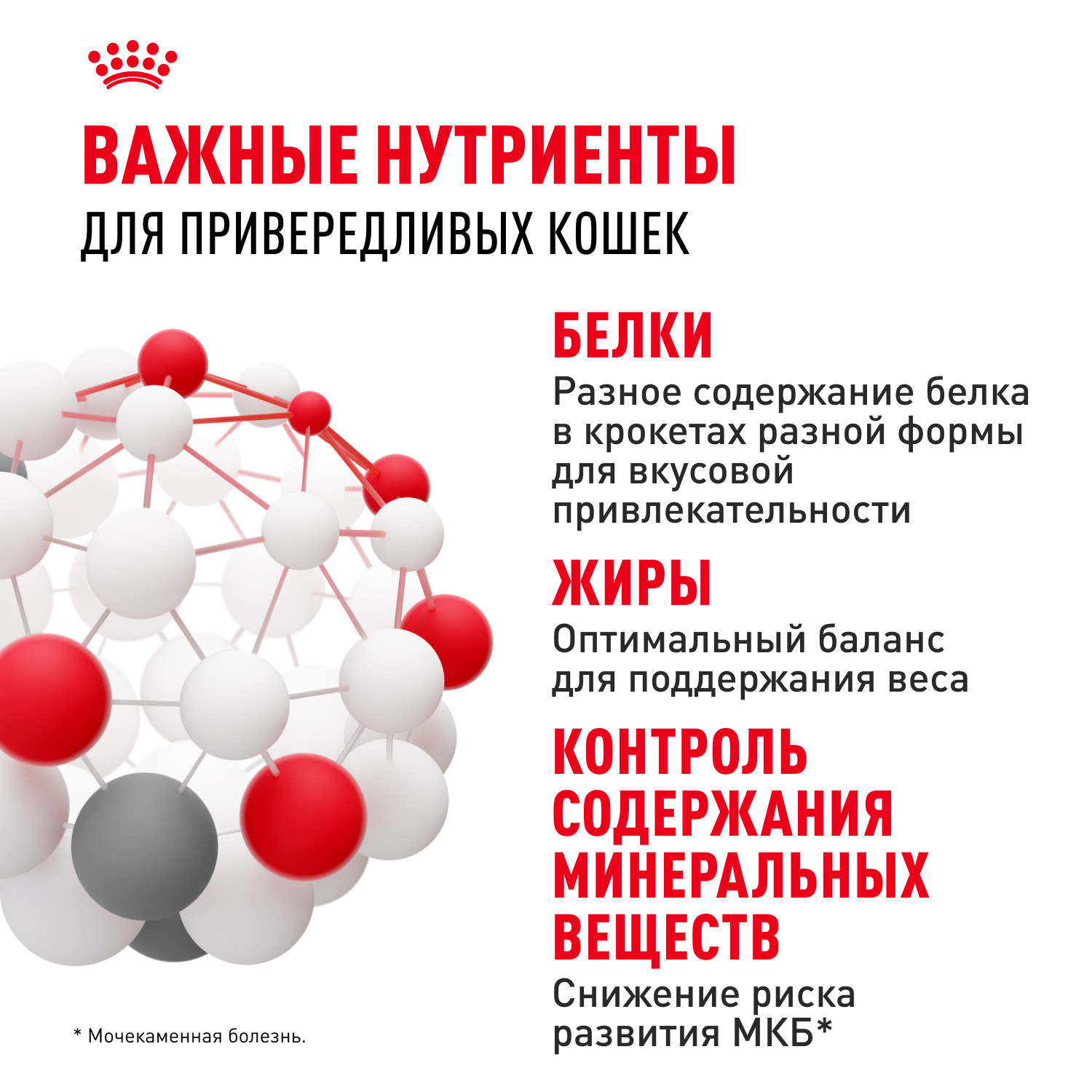 Корм сухой для кошек ROYAL CANIN Exigent Savour 10кг привередливых к вкусу продукта - фото 5