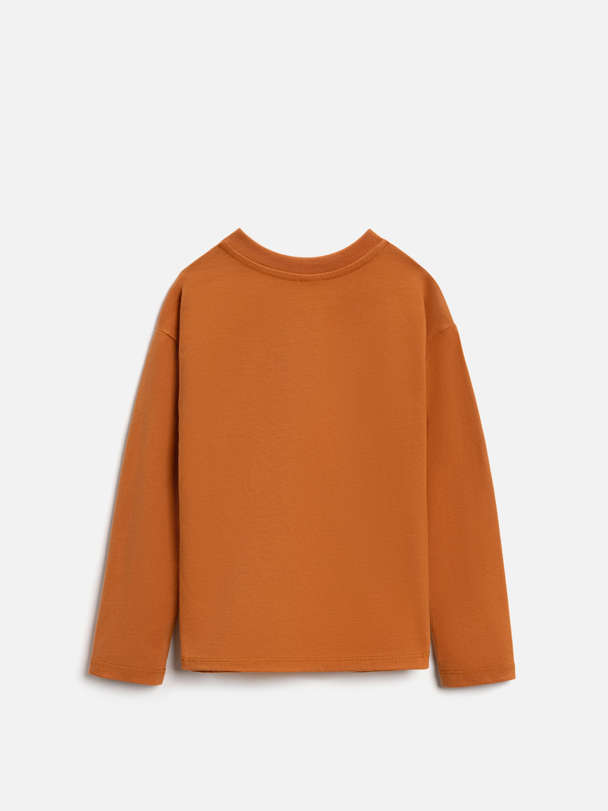 Лонгслив Acoola 20120830006_0092483 - фото 5