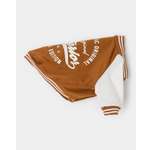 Бомбер для собак и кошек Зоозавр