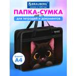 Папка для тетрадей Brauberg большой черный кот А4