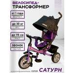 Трехколесный велосипед Velobibi