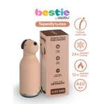 Термобутылка ASOBU Bestie