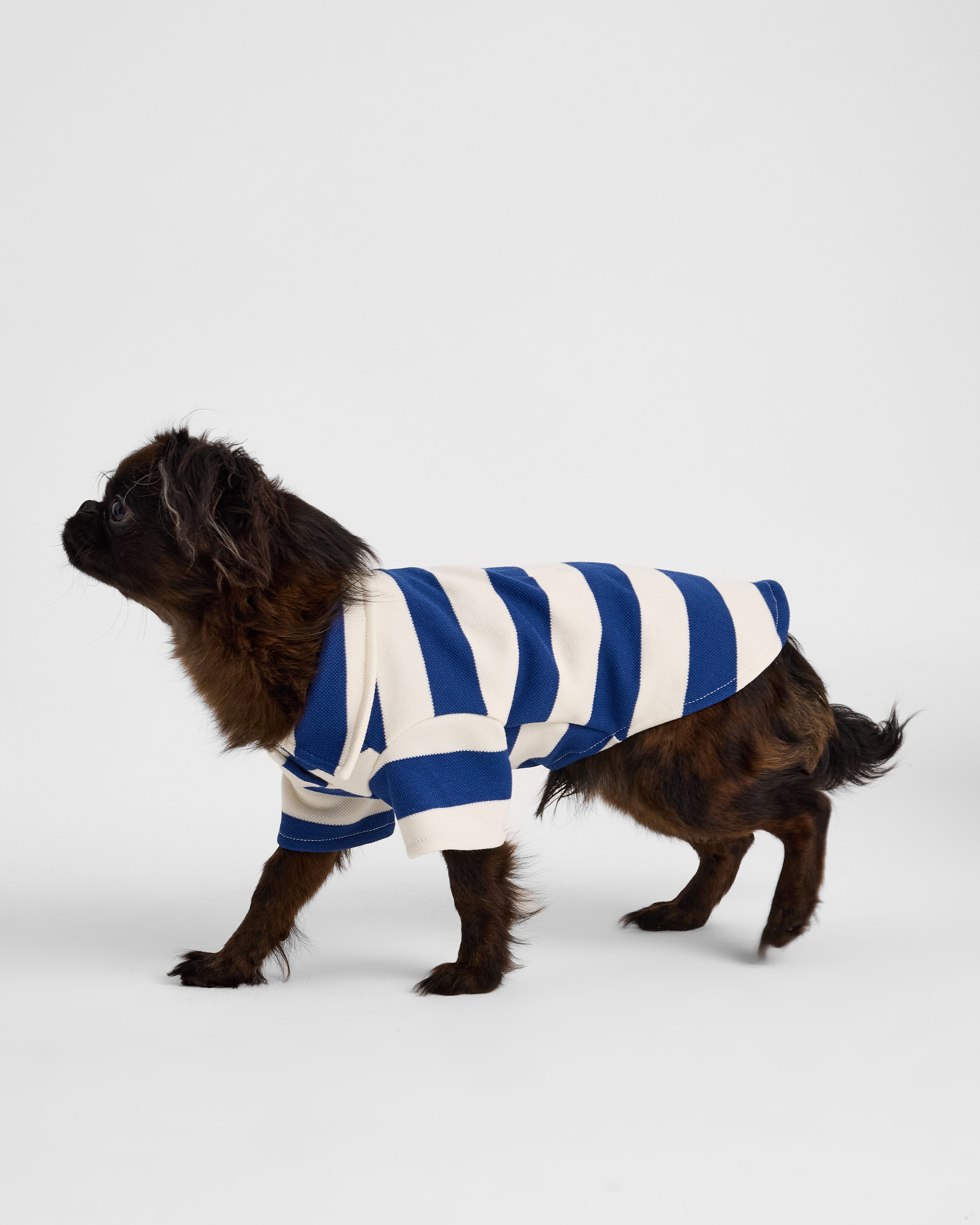 Поло для собак и кошек Зоозавр - фото 3