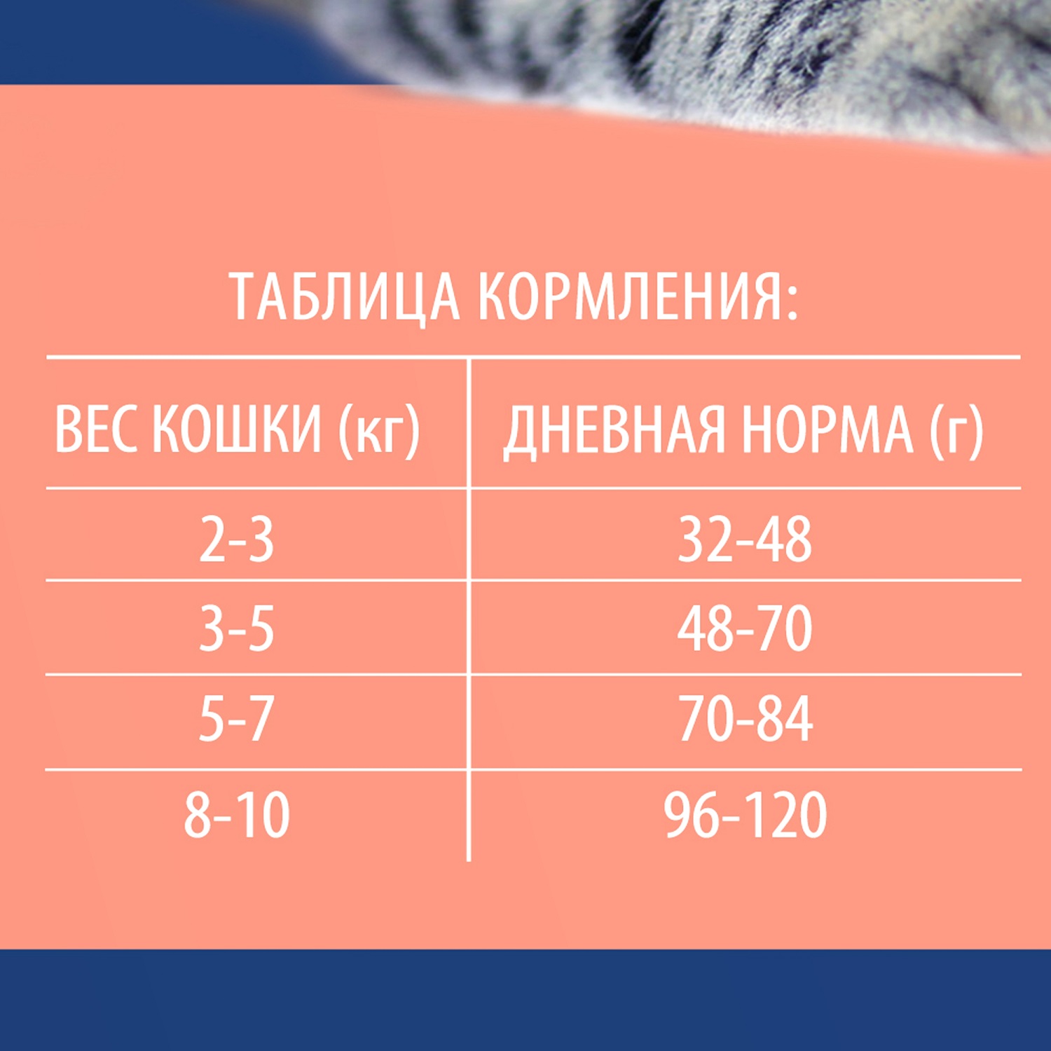 Корм для кошек Brit 8кг Premium Cat Sterilized Salmon and Chicken для стерилизованных с лососем и курицей сухой - фото 7