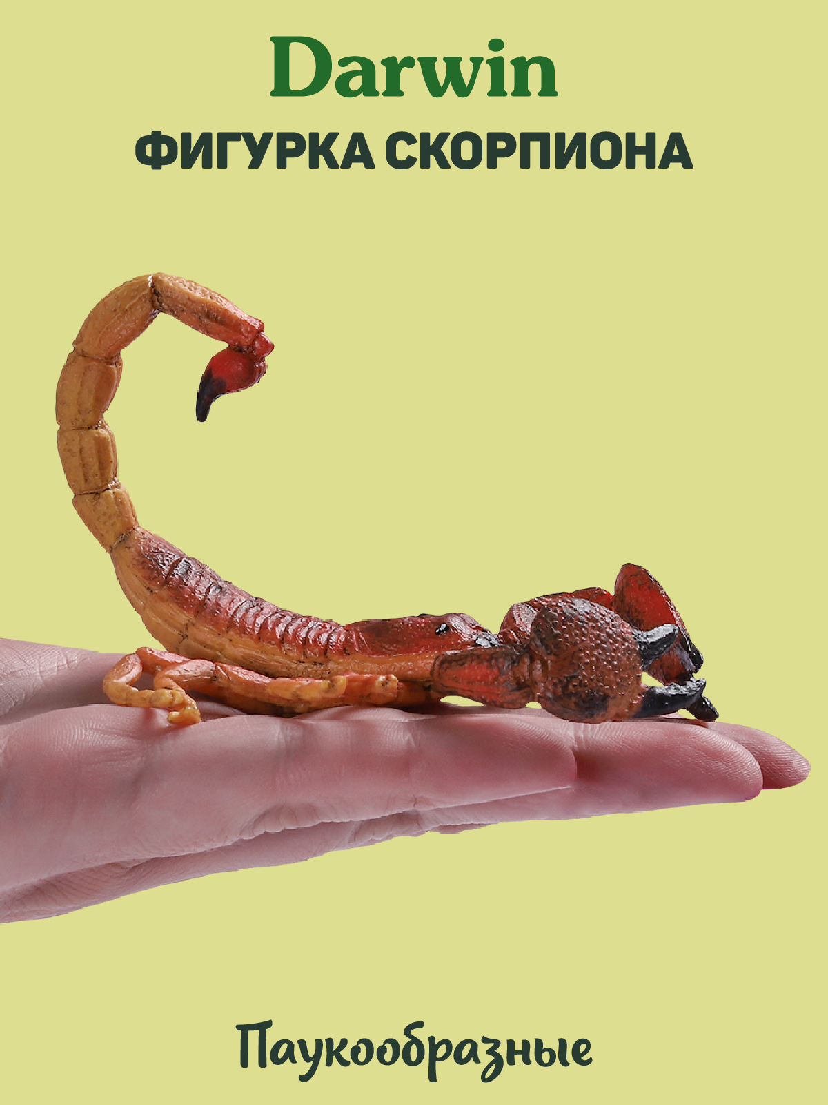 Фигурка DARWIN Насекомые Скорпион - фото 2